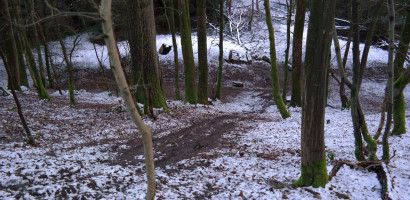 AS-SAM_3836 AS-SAM_3836