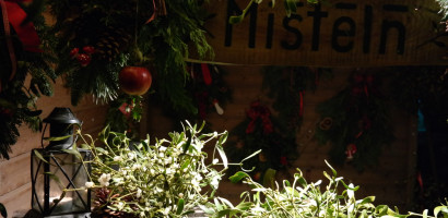 AS-SAM_9438 AS-SAM_9438