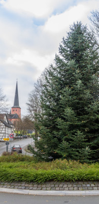 SWWeihnachtsmarkt-2016 -0145