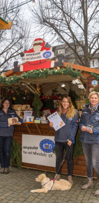 SWWeihnachtsmarkt-2016 -0193