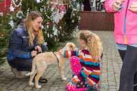 SWWeihnachtsmarkt-2016 -0203