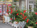 SWWeihnachtsmarkt-2016 -0275