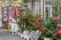 SWWeihnachtsmarkt-2016 -0275