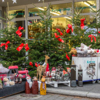 SWWeihnachtsmarkt-2016 -0293