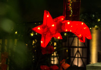 SWWeihnachtsmarkt-2016 -0456