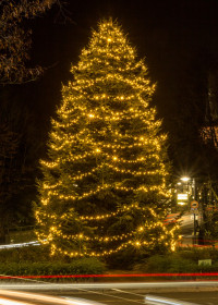 SWWeihnachtsmarkt-2016 -0684 SWWeihnachtsmarkt-2016 -0684
