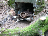 Ein Phänomen kommt ans Licht