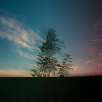 der Abend schiebt sich in den Tag