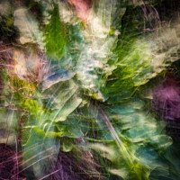 Grün im Seitengraben