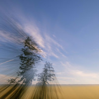 Leider verwischt ;-)