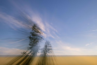 Leider verwischt ;-)