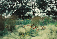 Gartenimpressionen-72dpi-001 Gartenimpressionen-72dpi-001