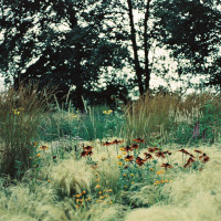 Gartenimpressionen-72dpi-001