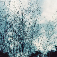 Gartenimpressionen-72dpi-002