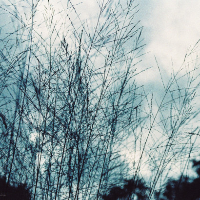 Gartenimpressionen-72dpi-002