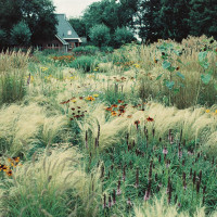 Gartenimpressionen-72dpi-004