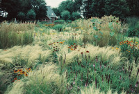 Gartenimpressionen-72dpi-004