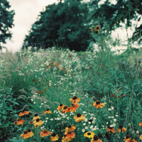 Gartenimpressionen-72dpi-005