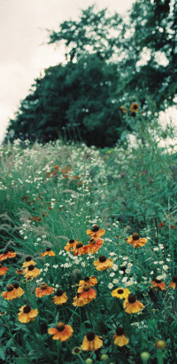 Gartenimpressionen-72dpi-005