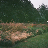 Gartenimpressionen-72dpi-008