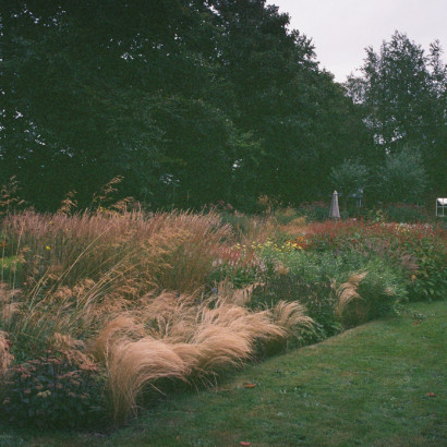 Gartenimpressionen-72dpi-008