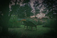 Gartenimpressionen-72dpi-009