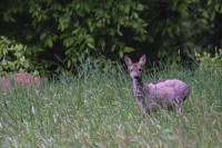 Guckst Du wieder-1024-12