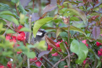 Jagdfieber-007-1024-12