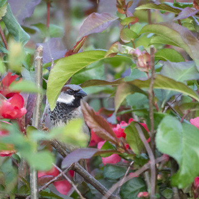 Jagdfieber-007-1024-12