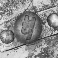 karneval-im-wald-72dpi-002