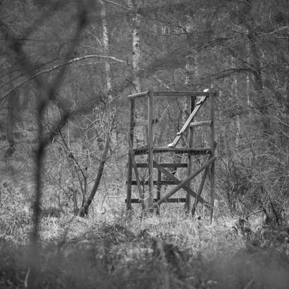 karneval-im-wald-72dpi-003