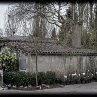 mystic-garden-72dpi-003