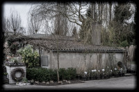 mystic-garden-72dpi-003