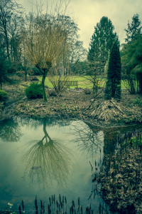 mystic-garden-72dpi-004