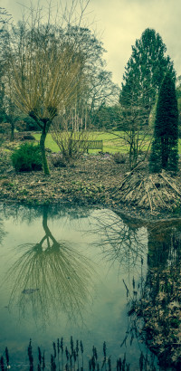 mystic-garden-72dpi-004