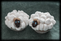 Sheeps On Grazing Land