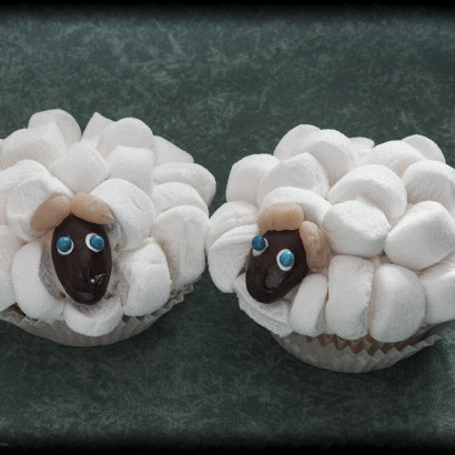 Sheeps On Grazing Land