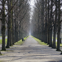  dsc4085 hannoverzu9 ausschnitt