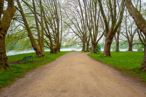 allee decksteiner weiher allee decksteiner weiher