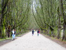 allee decksteinerweiher