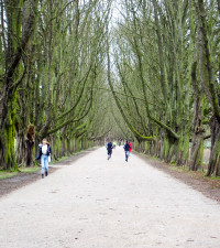 allee decksteinerweiher