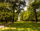 Bellevue Allee