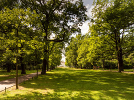 Bellevue Allee Bellevue Allee
