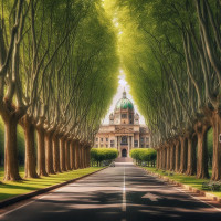 eine breite allee mit schoenen gruenen baeumen mit kraeftigen staemmen und am ende ein imposantes gebaeude