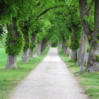 Jakobsweg Aufkirchen Würmsee