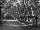 oostkapelle walcheren
