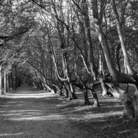 oostkapelle walcheren