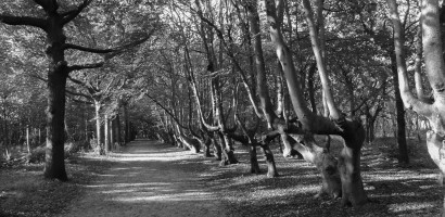 oostkapelle walcheren