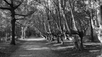 oostkapelle walcheren oostkapelle walcheren