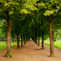poppelsdorf poppelsdorf
